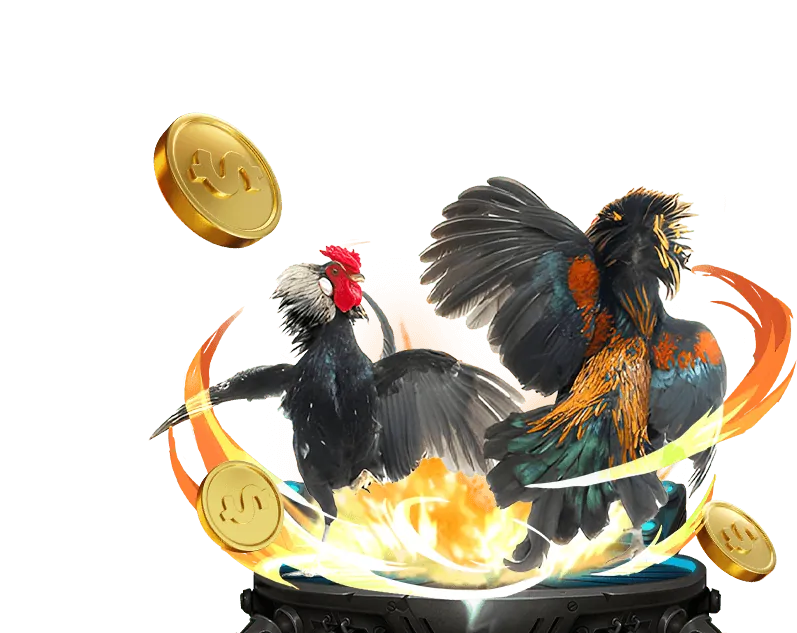 Bí quyết đặt cược đá gà an toàn